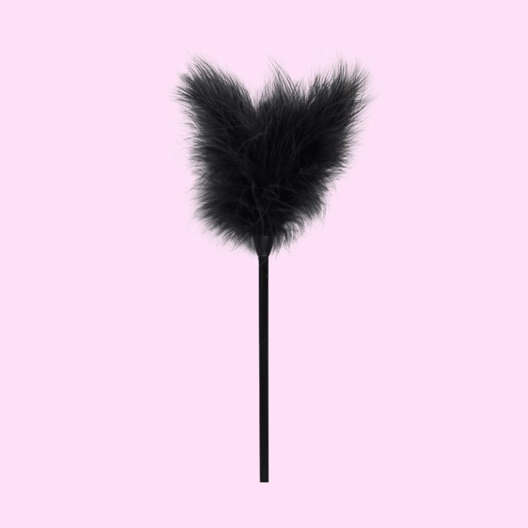 Kit BDSM Fetiche Negro 11 piezas