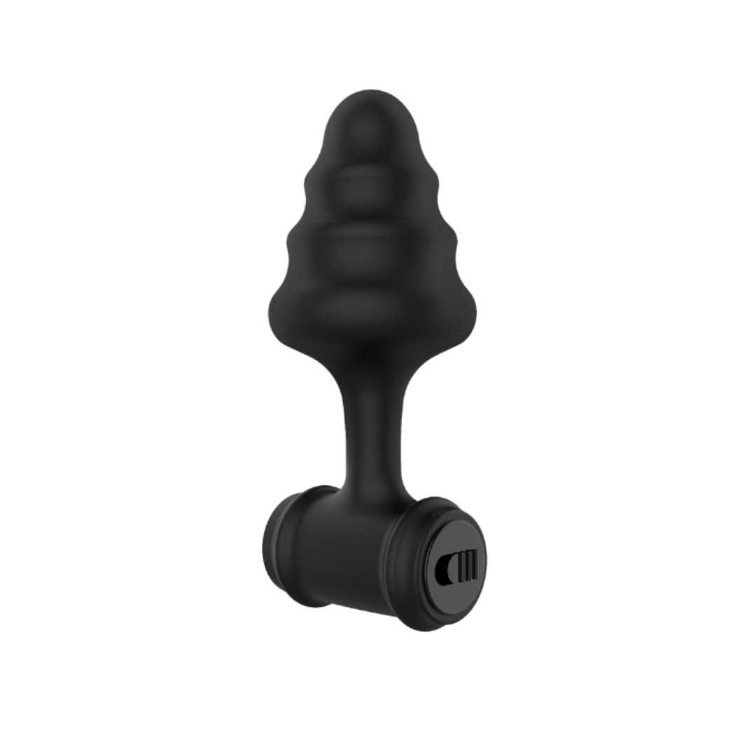 Benal Plug anal con vibración Camtoyz